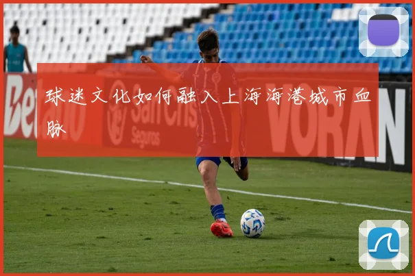 球迷文化如何融入上海海港城市血脉