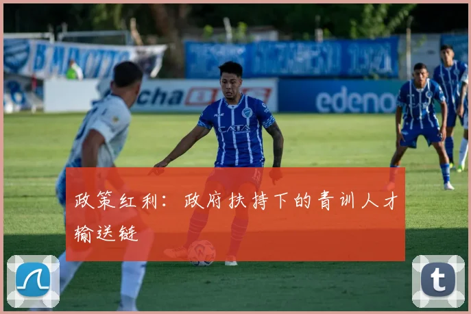 政策红利：政府扶持下的青训人才输送链