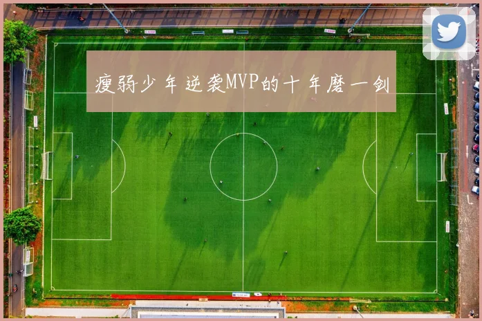 瘦弱少年逆袭MVP的十年磨一剑