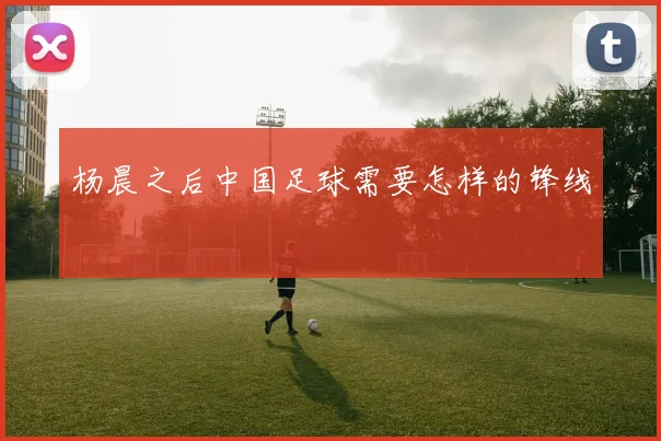 杨晨之后中国足球需要怎样的锋线